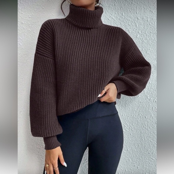 Brown Turtleneck Sweater - Picture 3 of 6